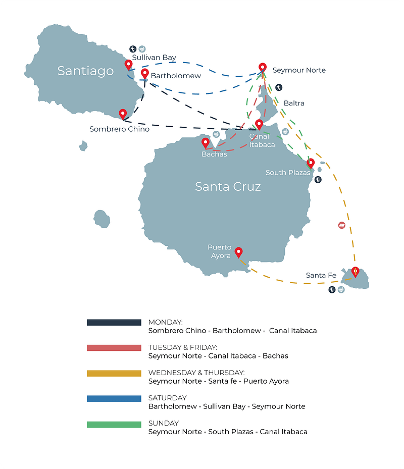 windrose yacht galapagos